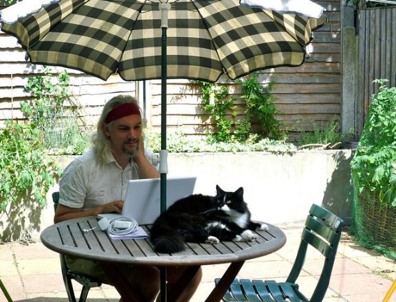 A man with a laptop and a cat on a table. A cat is sitting outside while a man works on his laptop.