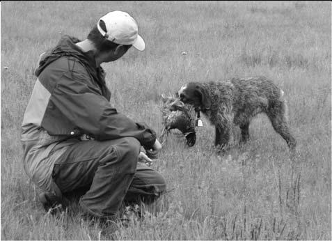 August 2016 BWPGCA E&R FOUNDATION Page 13 INTERMEDIATE HUNTING DOG TEST, SPRING 2016 (cont.) TD RD BR S P RB TB *TR *RF N AW C O TP PR CO CT T GROUP 409, (Aug.