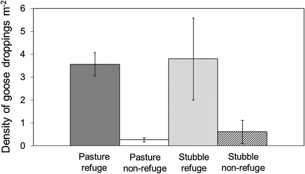 Fig. 4 Mean density of goose droppings (±SE) as a measure of goose grazing pressure during spring 2010 on pastures and stubble fields with and without refuge status, respectively p = 0.025) (Fig. 4).