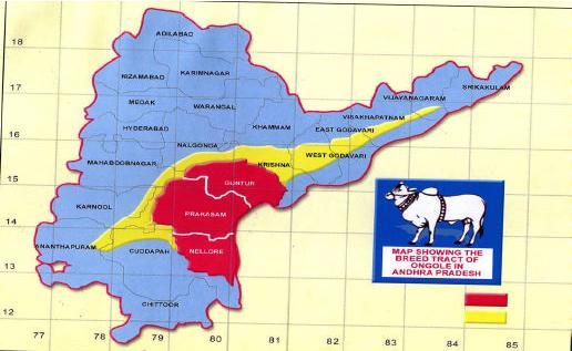 OPERATIONAL AREA : - Year of Inception : - A) Central Herd Registration Unit : August, 1979 Area Covered (State) : Andhra Pradesh (state) (Districts) : Prakasam, Guntur, East Godavari, & Krishna Map