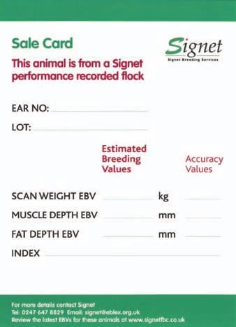 EBVs and Breeding Indexes Signet produces a range of EBVs for each breed it works with. These demonstrate the genetic merit of an animal for a specific trait.