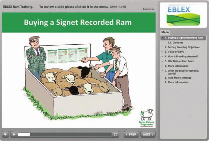 Finding EBVs online Estimated Breeding Values for performance recorded animals can be accessed online through the Signet website: www.signetfbc.co.uk All the reports for each breed are published in the Latest reports section.