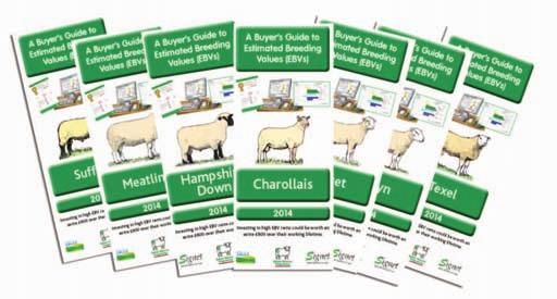Using EBVs and Accuracy Values Sale catalogues Estimated Breeding Values are now being displayed in sale catalogues for many different breeds.