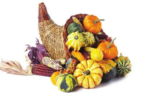 17 18 A cornucopia is a basket or animal horn filled with flowers, nuts,
