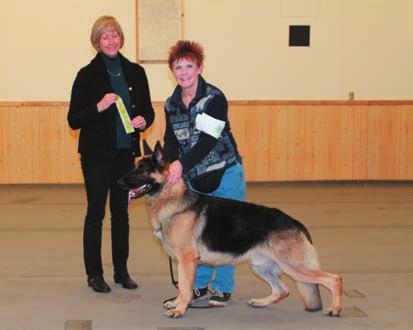 GSDCMSP Sanctioned Match November 29, 2013 Conformation:Judge Amy Gau Males 3-6 month 1Mythical Thor God of Thunder, Connie Karner 9-12 months 1 Teddy, Christy Heiman 2 Zeke, Mary Lee Best Male Puppy