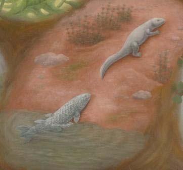 These earliest reptiles from Scotland and Canada were small and agile and fed largely on grubs and insects.