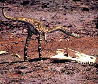 Liopleurodon Othalmosaurus Rhamphorynchus *Ornithocheirus *Utahraptor Iguanadon Polacanthus Tapejara Dwarf