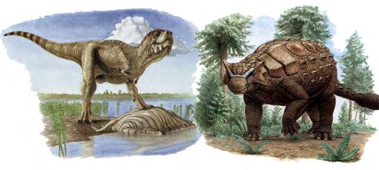 L-R: Tyrannosaurus and Ankylosaurus CURRICULUM CONNECTIONS Walking With Dinosaurs can be used with upper primary and secondary students in: Science Using evidence in science Adaptation Animals and