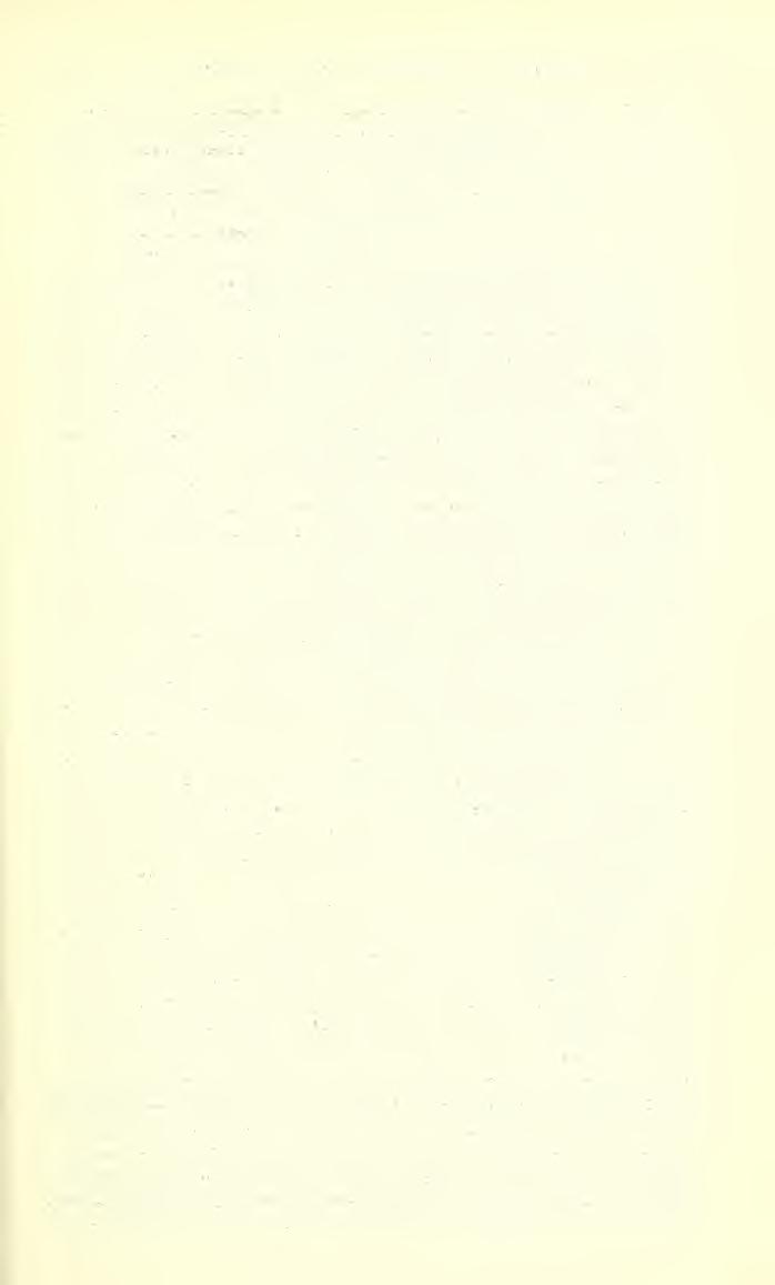 .ART. 25 THE AMPHIPOD FAMILY BATEIDAE SHOEMAKER 6 1906. Batea catharinensis-\-b. sectinda Stebbing, Ampbipoda, I, Gamiuaridea. Das Tierreich, vol. 21, pp. 355, 356 ; 729. 1913.