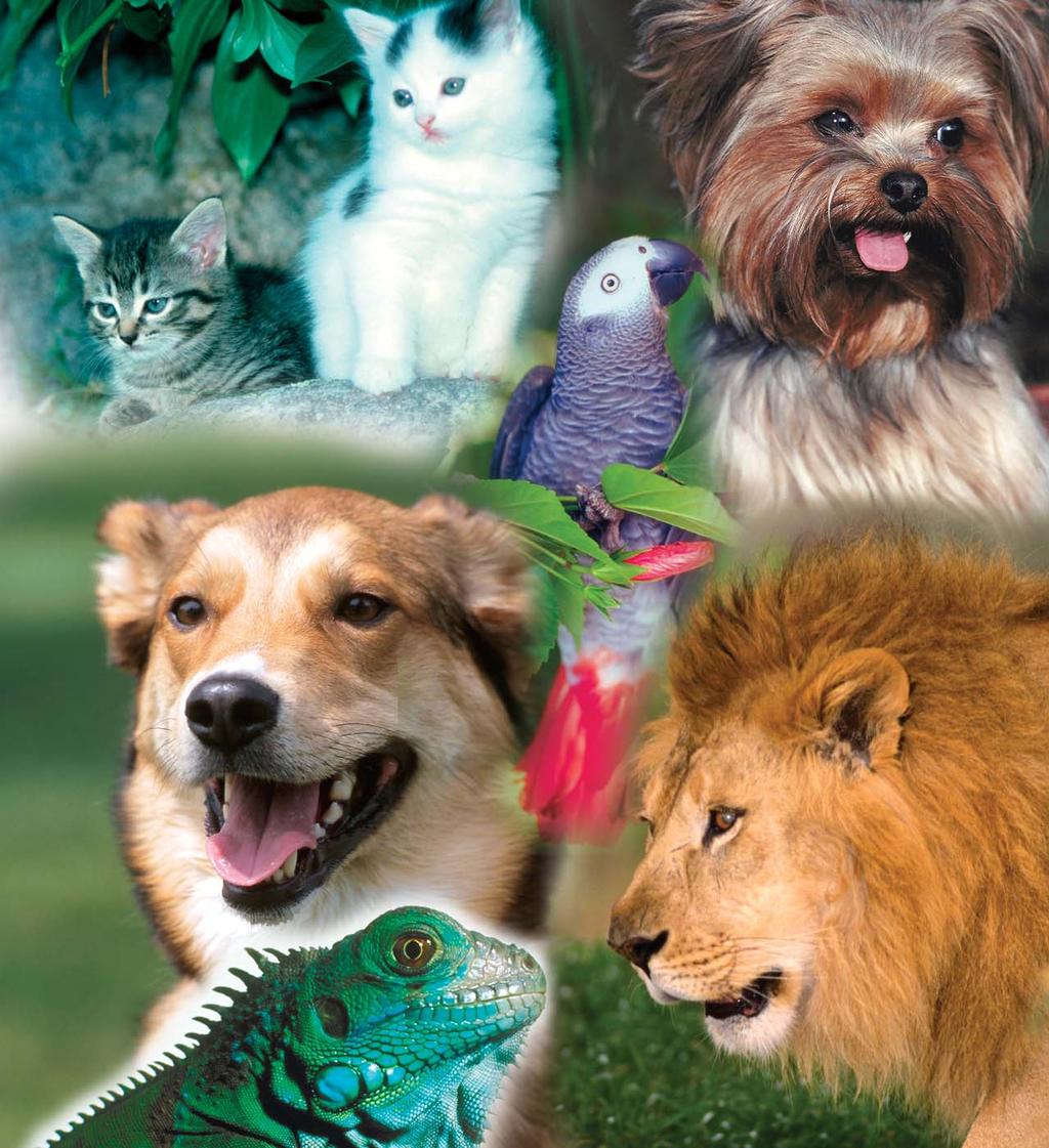 PRODUCT CATALOG SPECIALIZING IN COMPOUNDING AND VETERINARY MEDICINE Telephone 480.946.