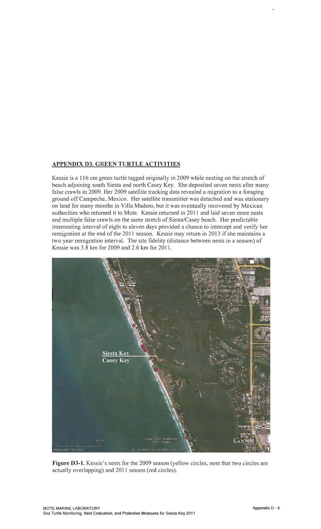 APPENDIX 03. GREEN TURTLE ACTIVITIES Kessie is a 116 cm green turtle tagged riginally in 2009 while nesting n the stretch f beach adjining suth Siesta and nrth Casey Key.