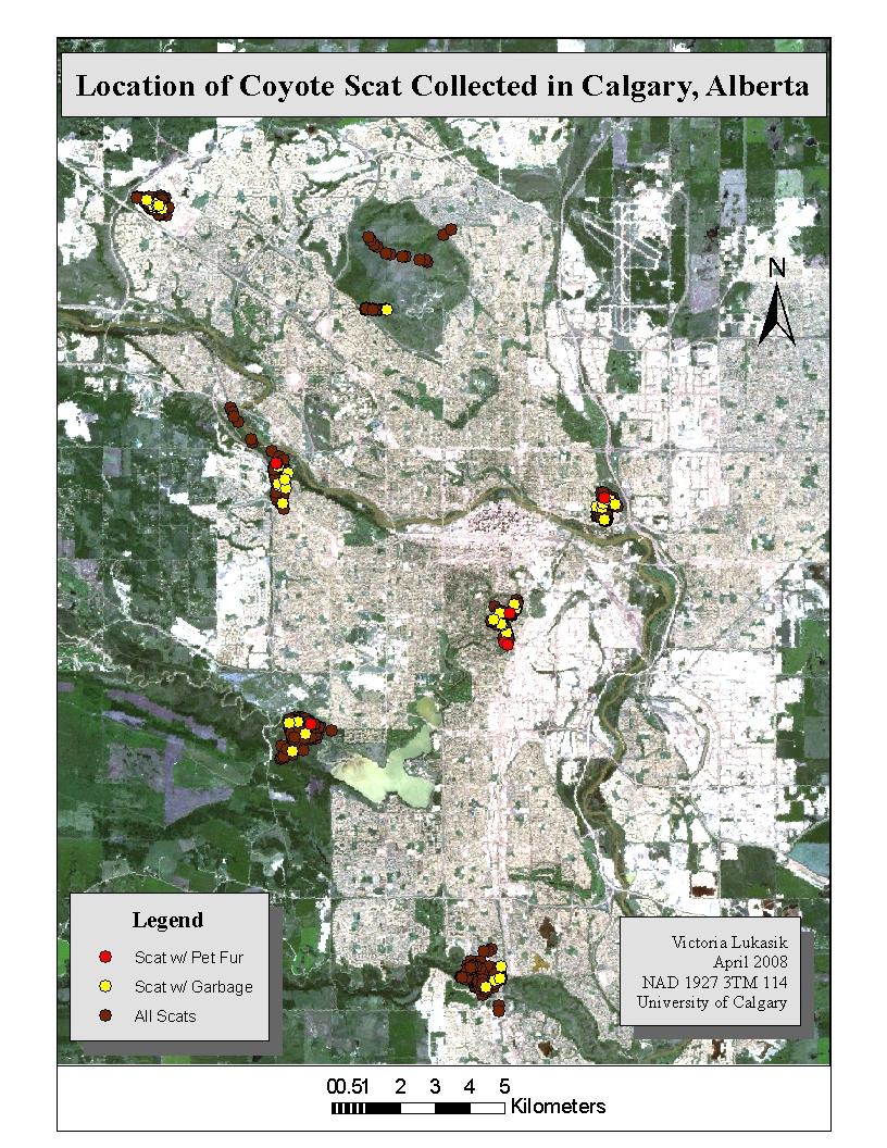 Figure 2 Spatial distribution of scats collected in Calgary, Alberta indicating location of scats containing garbage or domestic cat or dog remains.