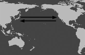 Population Trends and Mortality of Japanese Loggerhead Turtles, Caretta caretta, in Japan Dr.