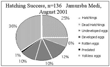 4): Figure 4. Pie charts indicating hatching success at Jamursba Medi, 1994 versus 2001 (pie charts read clockwise).