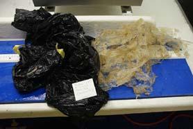 When it was lost, later on the seafloor when the current brought it together or in our net. Photo 17-18: Litter from haul 33, A plastic garbage bag (A3) and three pieces of plastic sheet (A2).