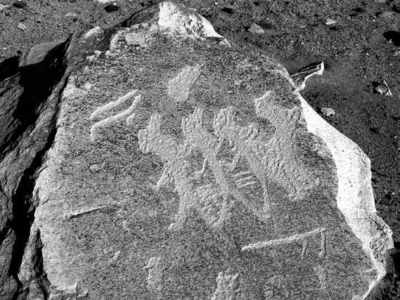 Figure 2. Dancer petroglyphs from Toro Muerto, Peru, possibly partially obliterated on purpose. Photo by M. van Hoek 2004. or rather, symbolise the wish for rain (Van Hoek 2003).