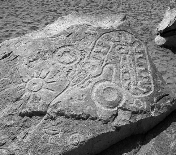 Figure 5. Snake and other petroglyphs from Toro Muerto, Peru, showing possibly obliterated head area. Photo by M. van Hoek 2004.