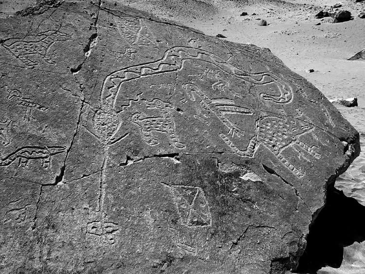 Figure 6. Large snake and other petroglyphs from Toro Muerto, Peru, showing possibly obliterated head area. obliterated parts.