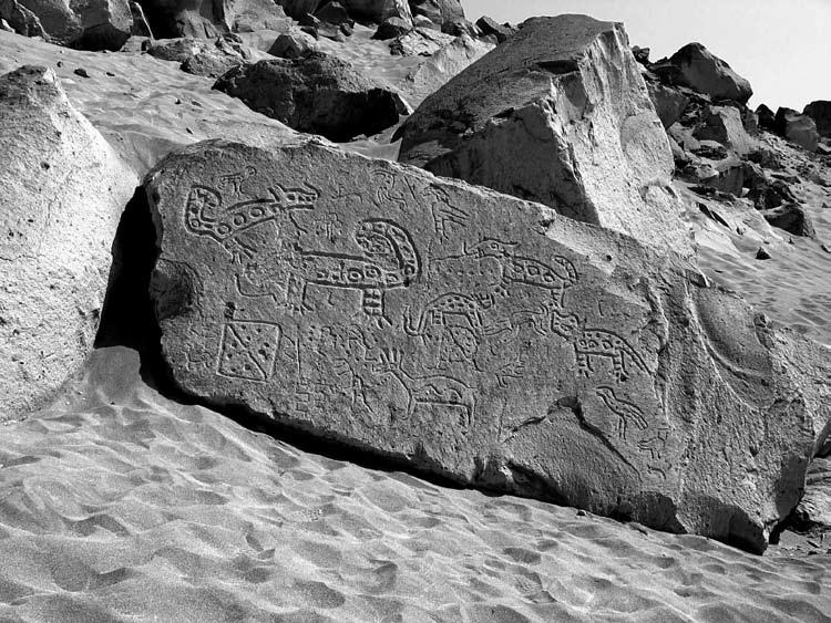 Figure 7. Quadrupeds and other petroglyphs from Toro Muerto, Peru, showing possibly obliterated areas. obsessive, concerns.