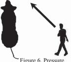 Once the animal is moving consistently for you, progress to Step 2. The handler continues pressure/ release but from behind the shoulder of the animal.