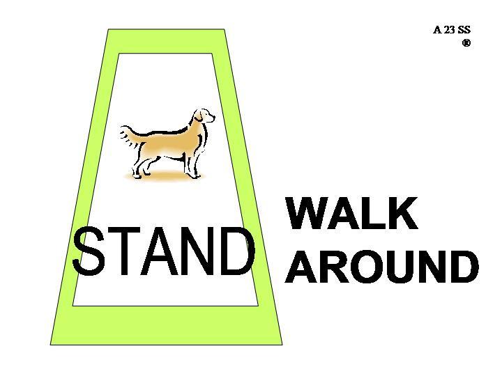 A23. STAND WALK AROUND: The team may pause or halt with the dog remaining standing. The handler then leaves the dog and turning to the left walks around the dog and returns to heel position.
