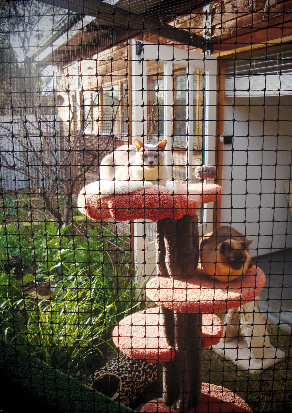 Making enclosures interesting Additional sights and sounds Some cats love to watch birds (you can place a bird bath/feeder outside the window or enclosure), insects (try planting flowers to attract