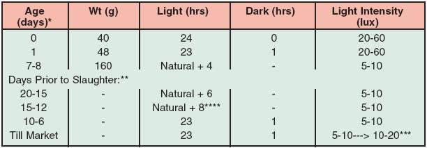 During heat stress, the birds should be allowed to eat at night and may require a reduction in the dark period. Examples of lighting programs are listed below and are to be used only as guidelines.