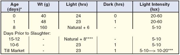 Genetics, nutrient density, feed intake and management programs may significantly impact results and must be considered when modifying a lighting program.