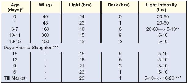 latitude of the farm, this additional 8 hours of light may equal 24 hours of continuous light, however, adjust added light amount so that there is a minimum of 1 hour of darkness.
