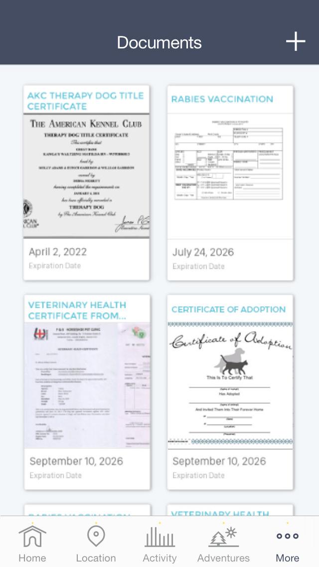 YOUR DOG S WELLNESS Records Save vet records, vaccinations, certificates, and other important documents by taking a picture and adding them to your file.