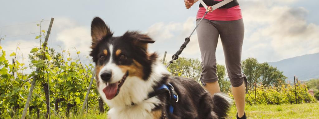 Eating well and exercising often We want the best for our pets, and canceling social plans for more quality time just scratches the surface.