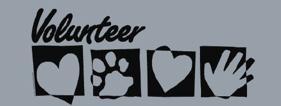 Staff & Volunteer 1014 - VOLUNTEER III