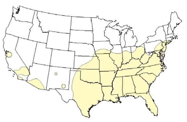 Aedes albopictus Distribution Current known