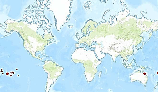 Aedes polynesiensis Distribution Austral Islands, Cook Islands, Ellice Islands, Fiji Islands, Hoorn Islands, Marquesas Islands, Pitcairn Island, Samoa Islands, Society Islands,