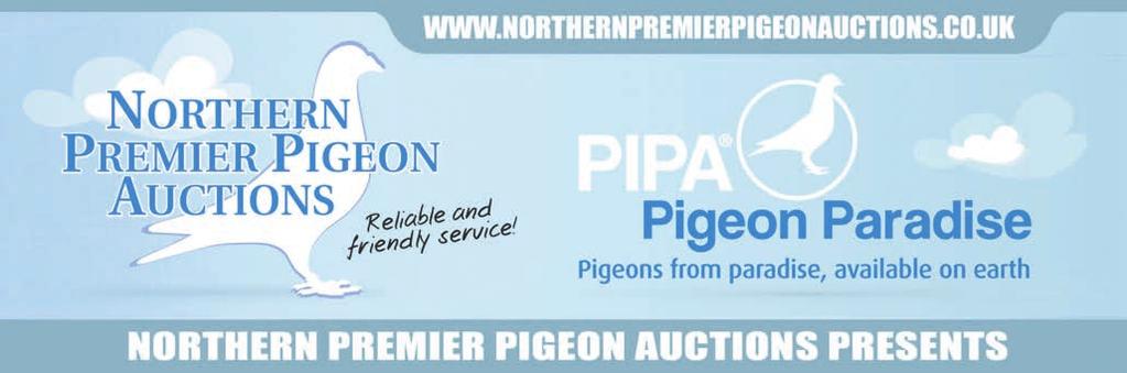 PIPA AND NORTHERN PREMIER PIGEON AUCTIONS HAVE ONCE AGAIN PUT TOGETHER THE BEST AUCTION OF THE BLACKPOOL WEEKEND. THIS IS A FANTASTIC AUCTION OF THE VERY BEST PIGEONS OF ALL EUROPE.