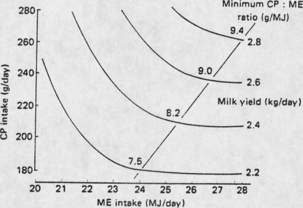 lactation reductions in liveweight usually occur and these losses may be large. Maintenance or liveweight gain in early lactation are usually associated with low milk yields or with high quality food.
