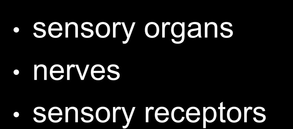 sensory organs