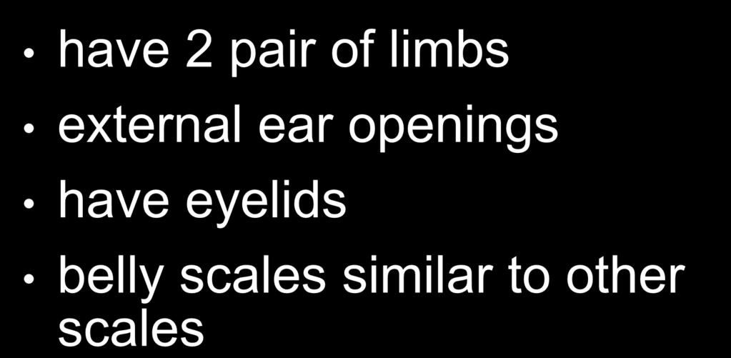 openings have eyelids