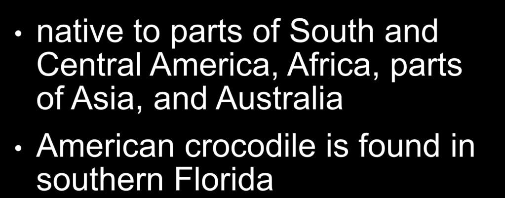 Crocodiles native to parts of South and Central America, Africa, parts