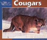 WRITE ABOUT READING Response The last section of the text is about mother cougars and their kittens.