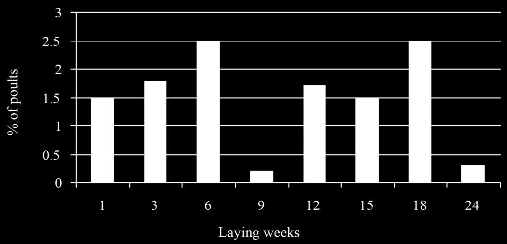 Until week 18, the body weight of poults remained at a similar level (Table 2). The average body weight of poults was significantly higher (P<0.