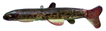 size pheasant by Casey Edwards 188 Fish decoy, brook