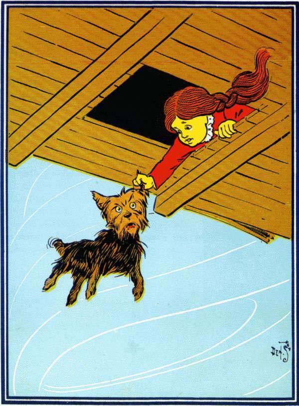 5 Once Toto got too near the open trap door, and fell in; and at first the little girl thought she had lost him.