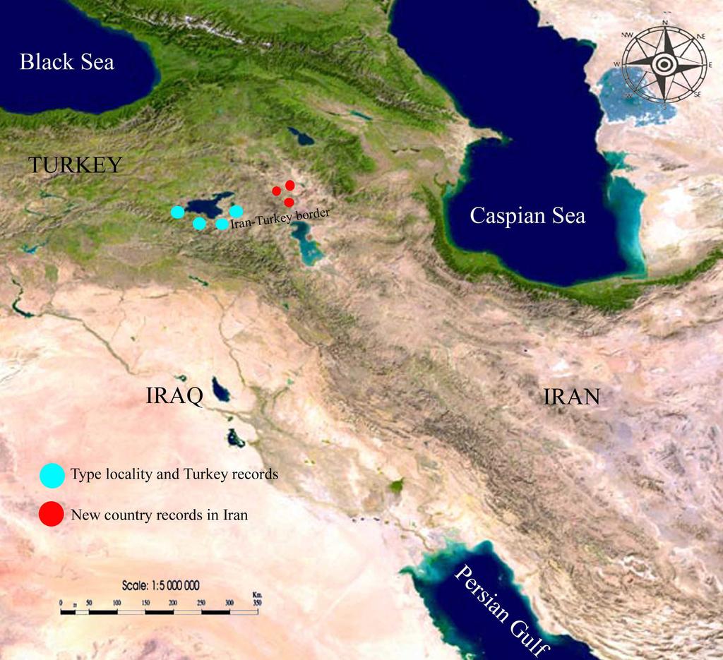 Rastegar-Pouyani et al. Figure 3. Iran-Turkey map and localities of new records in Iran and the type locality of Eremias suphani around the Van Lake in Turkey.