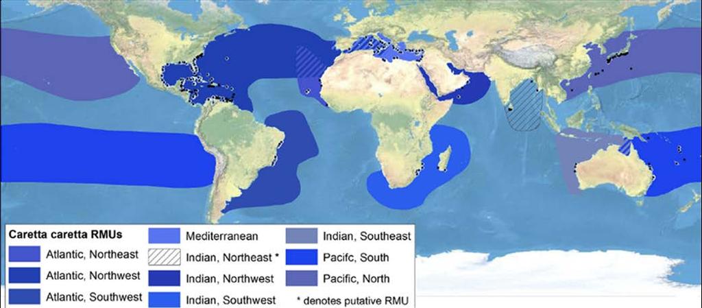 Global map of the 10 IUCN subpopulations (RMUs) of