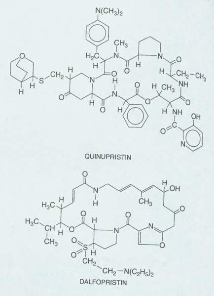 Pharmacology and Therapeutics December 6, 2011 Protein Synthesis Inhibitors III: Macrolides, Clindamycin, etc. Joseph R. Lentino, M.D., Ph.D. B. Acute Bacterial Sinusitis 800mg PO QD for 5 days C.