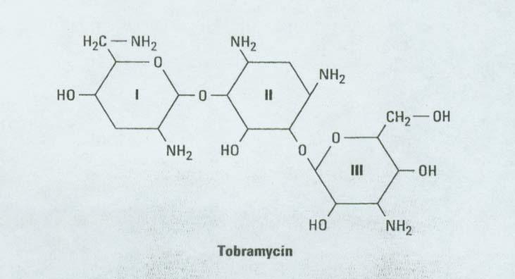 Streptomycin was the first aminoglycoside discovered from a soil actinomycete named Streptomyces griseus.