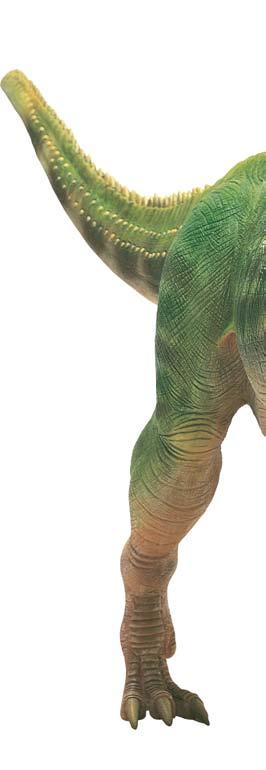 Meat eaters Meat-eating dinosaurs like Giganotosaurus were fierce