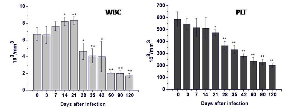 Figure 1 Total white blood cell (WBC) and platelet (PLT) counts of rats at days after infection. The results are expressed as mean value of four rats ± SD.