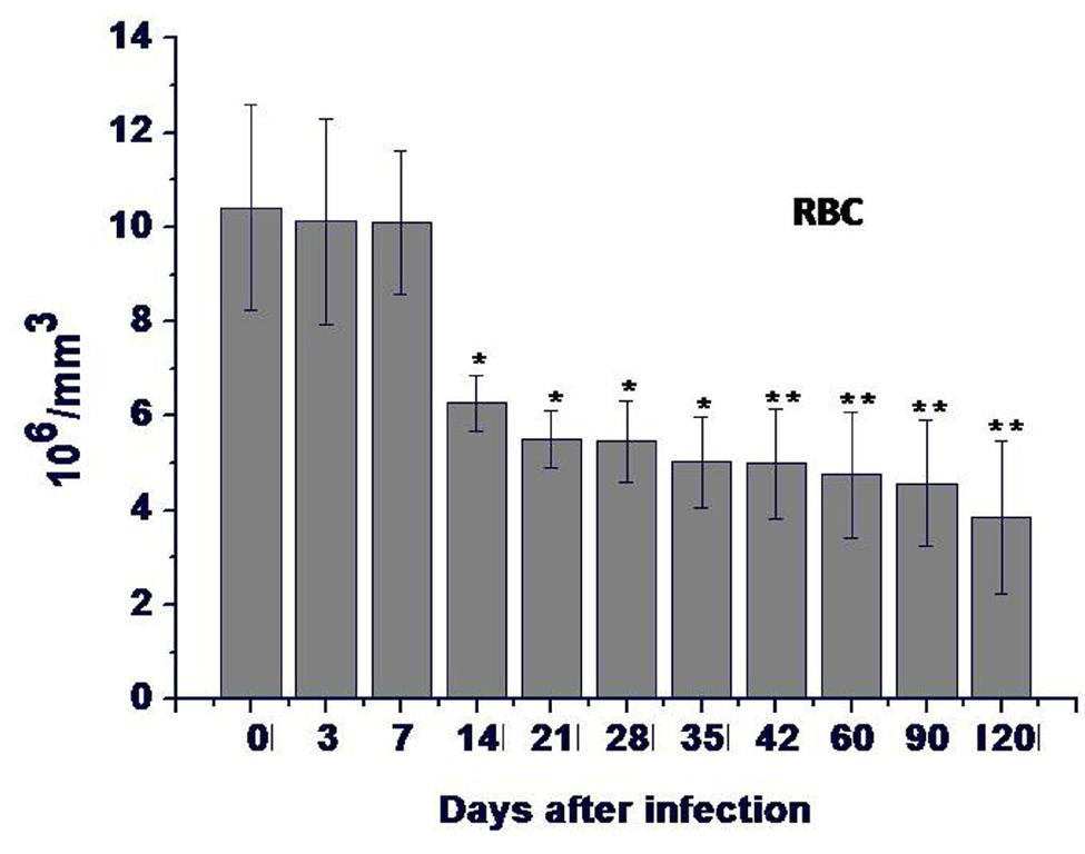 Figure 2 Total red blood cell (RBC) counts of rats at days after infection. The results are expressed as mean value of four rats ± SD.